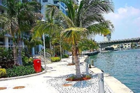 Copropriété à louer à Miami, Floride: 1 chambre, 59.27 m2 № 2264738 - photo 4