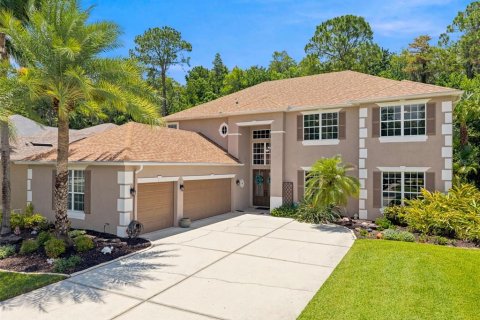 Villa ou maison à Wesley Chapel, Floride 6 chambres, 396.32 m2 № 2200921