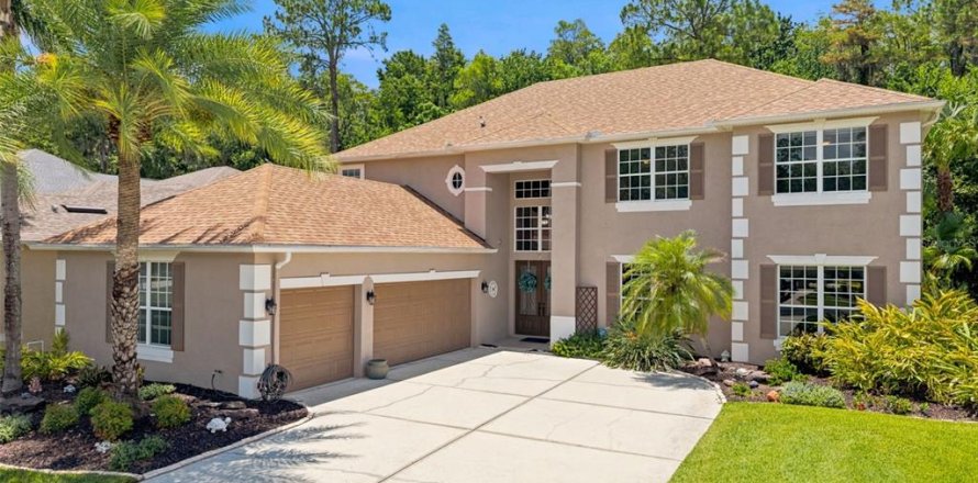 Casa en Wesley Chapel, Florida 6 dormitorios, 396.32 m2 № 2200921