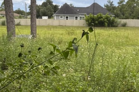 Купить виллу или дом в Норт-Порт, Флорида 7 комнат, 168.8м2, № 1899495 - фото 19