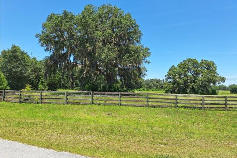 Terrain à vendre à Morriston, Floride № 1759775 - photo 23