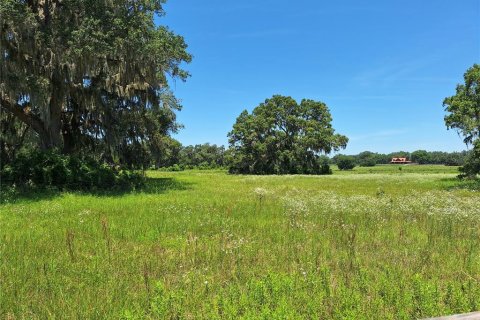 Terrain à vendre à Morriston, Floride № 1759775 - photo 27