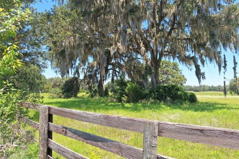 Terrain à vendre à Morriston, Floride № 1759775 - photo 22