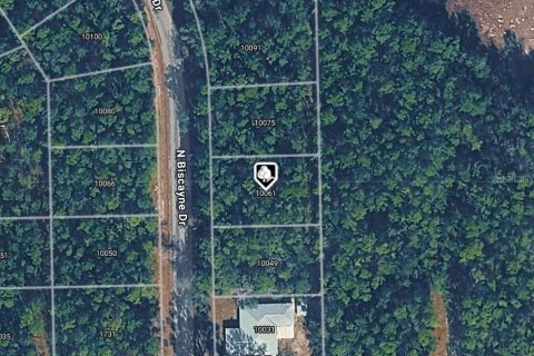 Land in Citrus Springs, Florida № 2164630