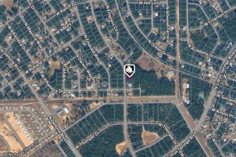 Land in Citrus Springs, Florida № 2164630 - photo 3