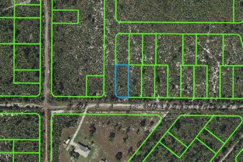 Land in Lake Placid, Florida № 2233138