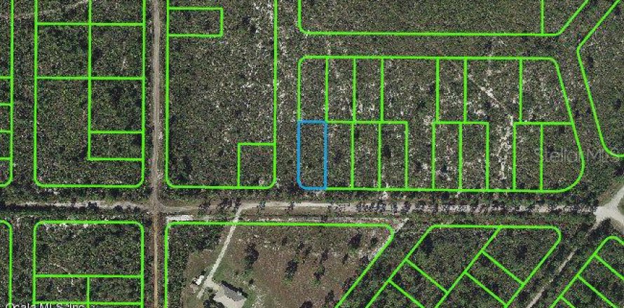Land in Lake Placid, Florida № 2233138