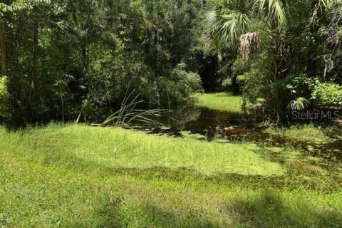 Terreno en venta en Oviedo, Florida № 1916828 - foto 5