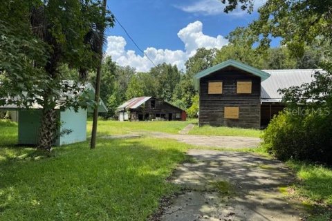 Terreno en venta en Oviedo, Florida № 1916828 - foto 3