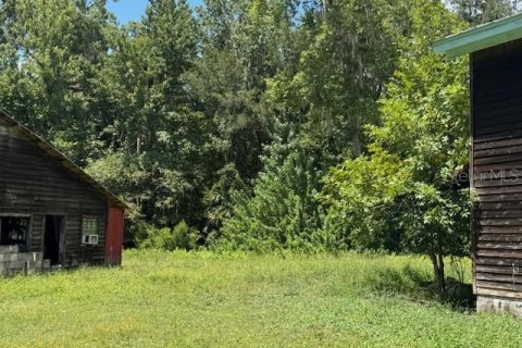 Terreno en venta en Oviedo, Florida № 1916828 - foto 13