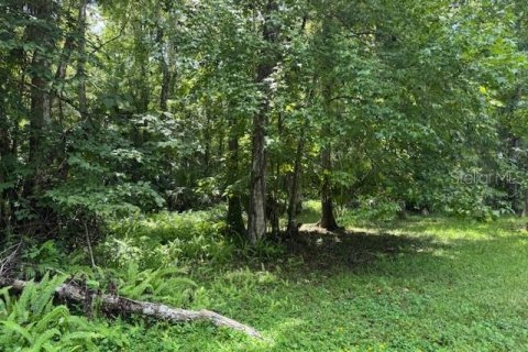 Terreno en venta en Oviedo, Florida № 1916828 - foto 14