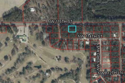 Land in Chiefland, Florida № 2163020 - photo 2