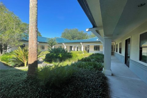 Immobilier commercial à louer à Gainesville, Floride: 589.46 m2 № 2113068 - photo 11