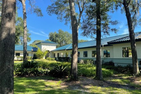 Immobilier commercial à louer à Gainesville, Floride: 589.46 m2 № 2113068 - photo 6