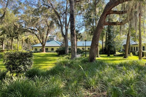 Immobilier commercial à louer à Gainesville, Floride: 589.46 m2 № 2113068 - photo 24