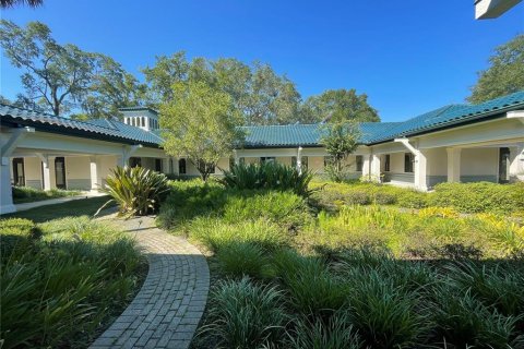 Immobilier commercial à louer à Gainesville, Floride: 589.46 m2 № 2113068 - photo 12