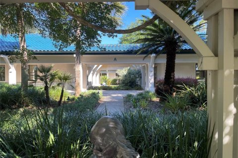 Immobilier commercial à louer à Gainesville, Floride: 589.46 m2 № 2113068 - photo 21