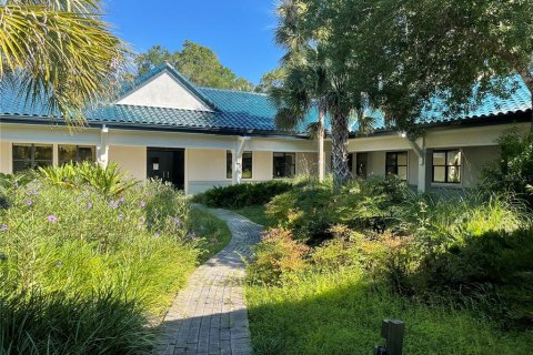 Immobilier commercial à louer à Gainesville, Floride: 589.46 m2 № 2113068 - photo 22