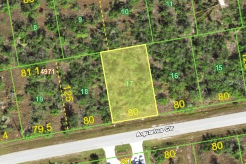 Land in Port Charlotte, Florida № 2161974 - photo 2
