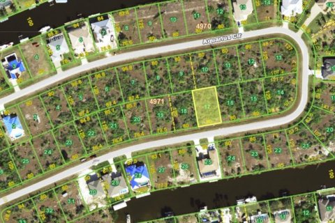 Land in Port Charlotte, Florida № 2161974 - photo 3