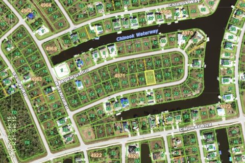 Land in Port Charlotte, Florida № 2161974 - photo 4