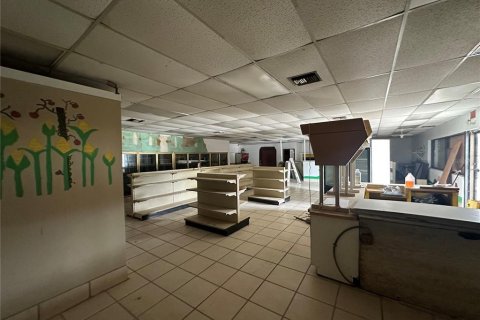 Купить коммерческую недвижимость в Лисбург, Флорида 232.35м2, № 2098906 - фото 18