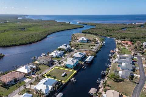 Land in Punta Gorda, Florida № 1429148 - photo 3