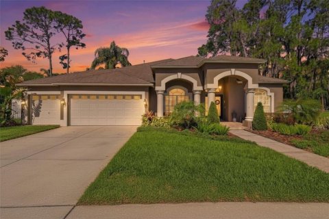 Casa en Land O' Lakes, Florida 4 dormitorios, 267.93 m2 № 2234131