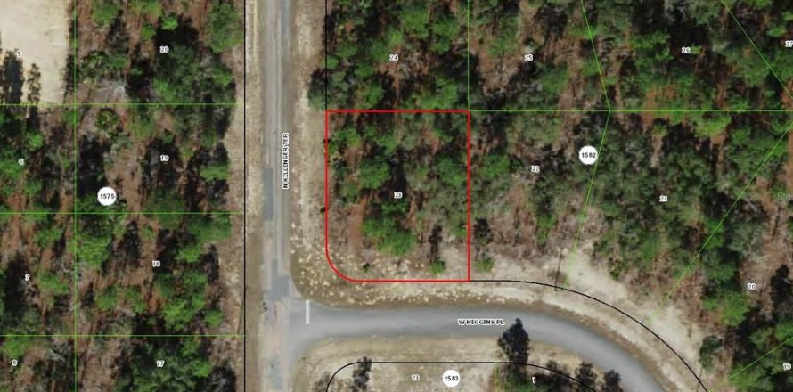 Terreno en Citrus Springs, Florida № 2196422