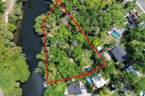 Terrain à Tampa, Floride № 2099034
