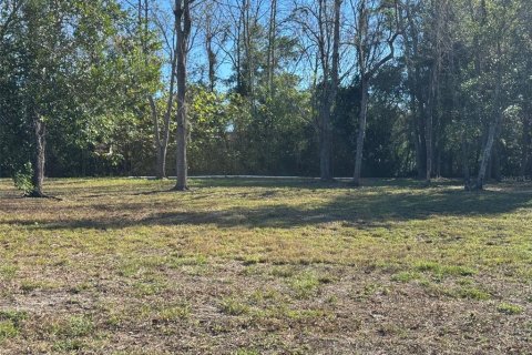 Terrain à vendre à Ocala, Floride № 1821467 - photo 1
