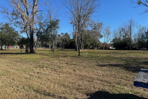 Terrain à vendre à Ocala, Floride № 1821467 - photo 5