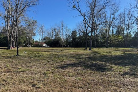 Terrain à vendre à Ocala, Floride № 1821467 - photo 6