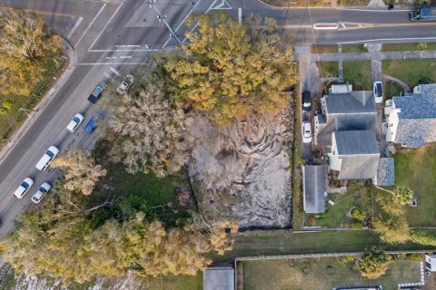 Land in Tampa, Florida № 1569673 - photo 2