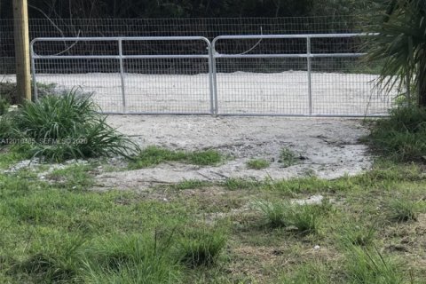 Immobilier commercial à vendre à Indiantown, Floride № 2171044 - photo 4