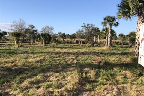 Immobilier commercial à vendre à Indiantown, Floride № 2171044 - photo 3