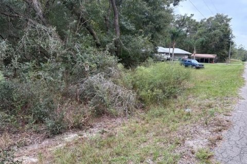 Terrain à vendre à Ocklawaha, Floride № 2166011 - photo 8