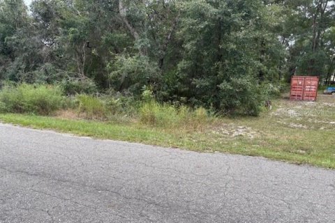 Terrain à Ocklawaha, Floride № 2166011