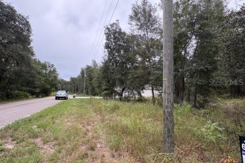 Terrain à vendre à Ocklawaha, Floride № 2166011 - photo 6