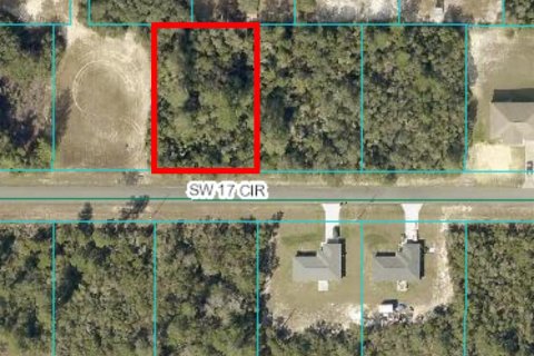 Land in Ocklawaha, Florida № 1574686 - photo 1