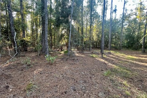 Terreno en venta en Hawthorne, Florida № 1914076 - foto 4