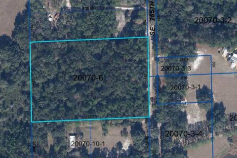 Terreno en venta en Hawthorne, Florida № 1914076 - foto 7