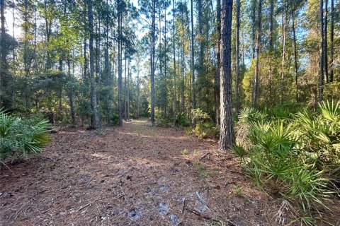 Terreno en venta en Hawthorne, Florida № 1914076 - foto 3