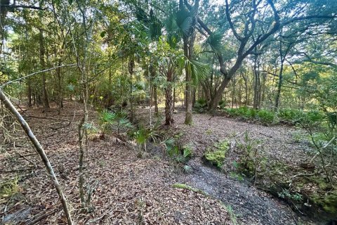 Terreno en venta en Hawthorne, Florida № 1914076 - foto 5