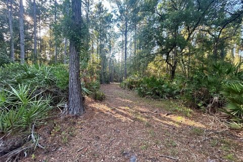 Terreno en venta en Hawthorne, Florida № 1914076 - foto 2