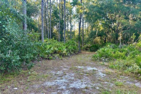 Terreno en venta en Hawthorne, Florida № 1914076 - foto 1