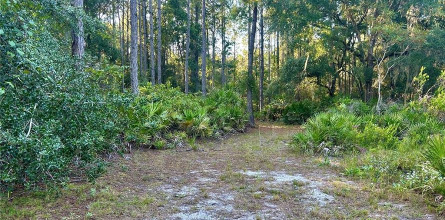Terreno en Hawthorne, Florida № 1914076