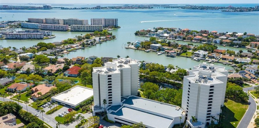 Condo in Gulfport, Florida, 2 bedrooms № 1820796