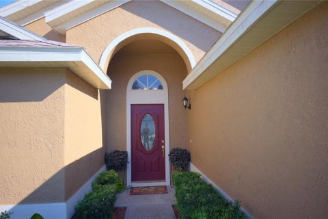 Villa ou maison à vendre à Apopka, Floride: 3 chambres, 139.35 m2 № 2395631 - photo 2