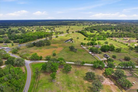 Land in Ocala, Florida № 2423796 - photo 5